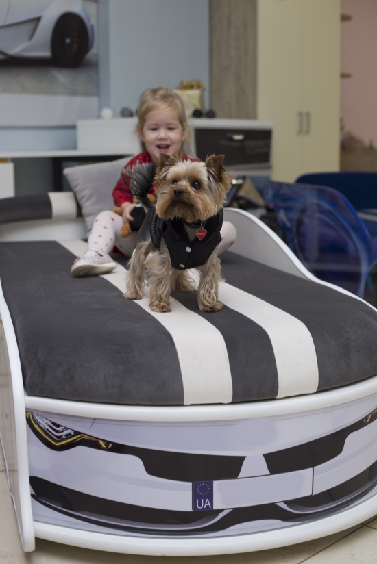 Ліжко-машина 